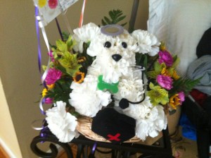 Doggie flower arrangement from my coworkers. So cute!!