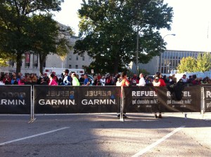 Once again my awesome photo skills - if you look really close you can see him