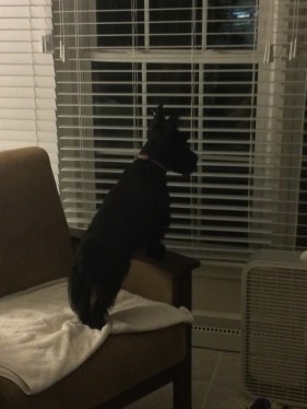 Patrick isn't afraid of storms!